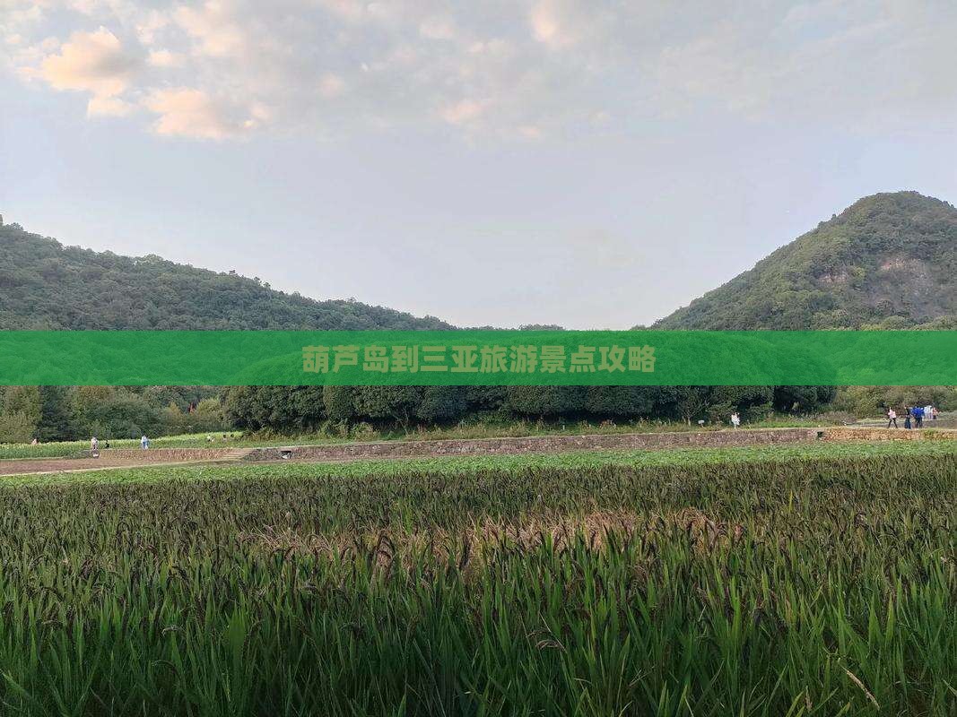 葫芦岛去三亚三亚湾旅游