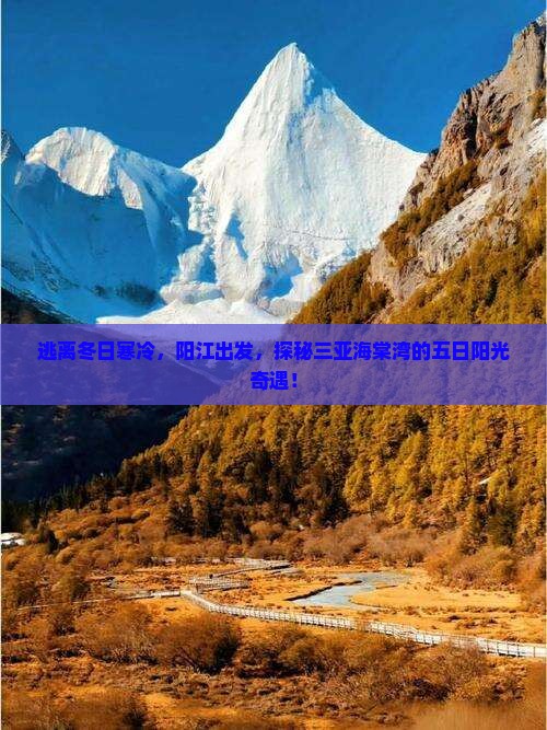 阳江前往三亚海棠湾五日游