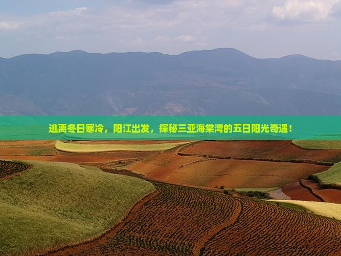 阳江前往三亚海棠湾五日游