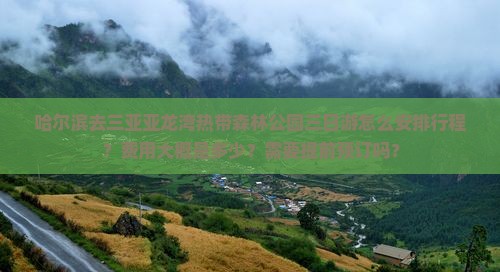 哈尔滨去三亚亚龙湾热带森林公园三日游