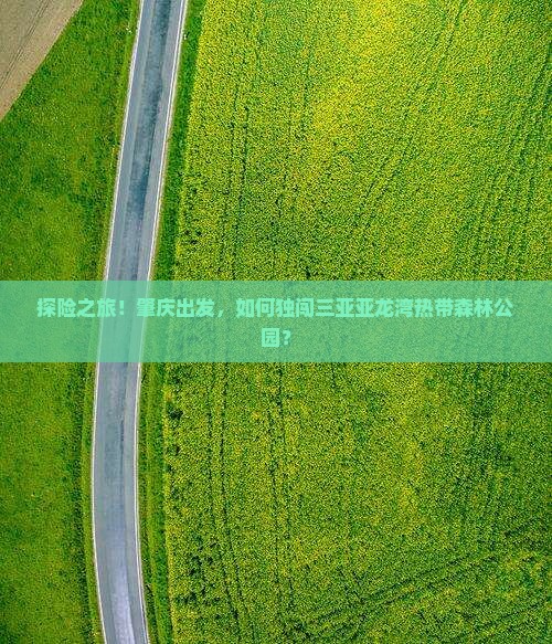 肇庆前往三亚亚龙湾热带森林公园个人游
