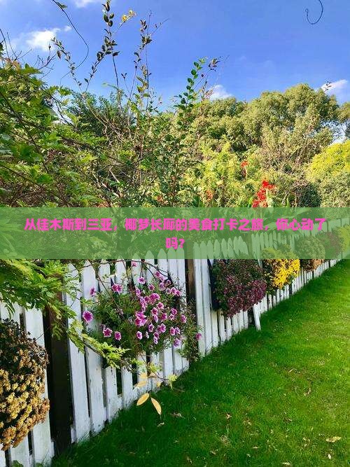 佳木斯出发三亚椰梦长廊旅游小吃