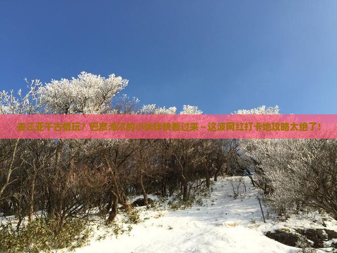 巴彦淖尔前往三亚千古情旅游网红地点