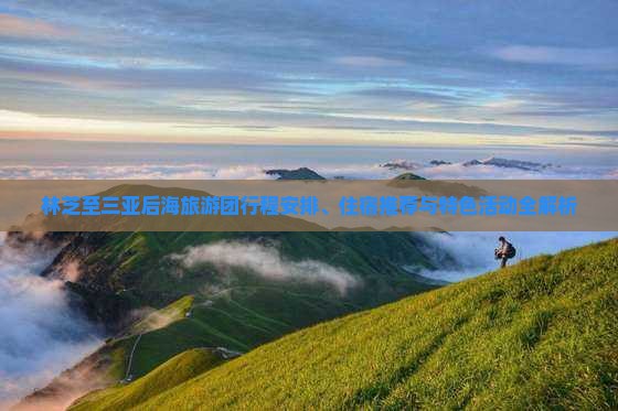 林芝出发三亚后海大型旅游团