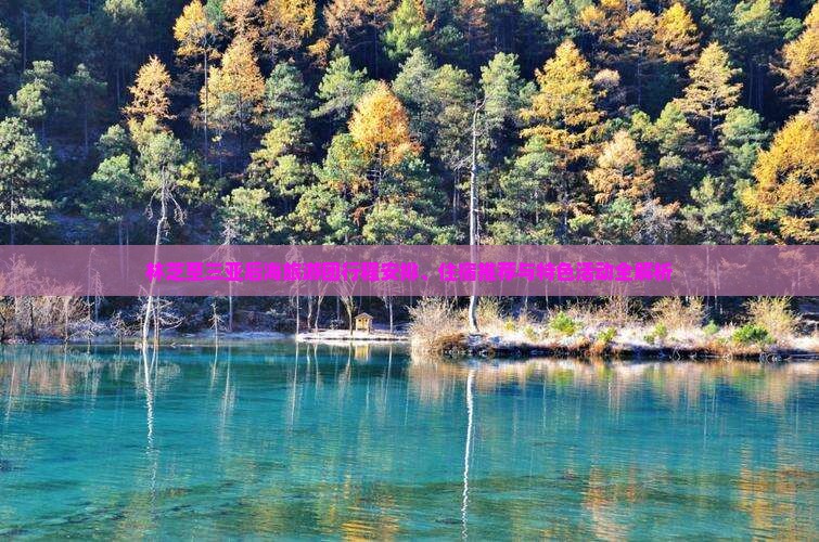 林芝出发三亚后海大型旅游团