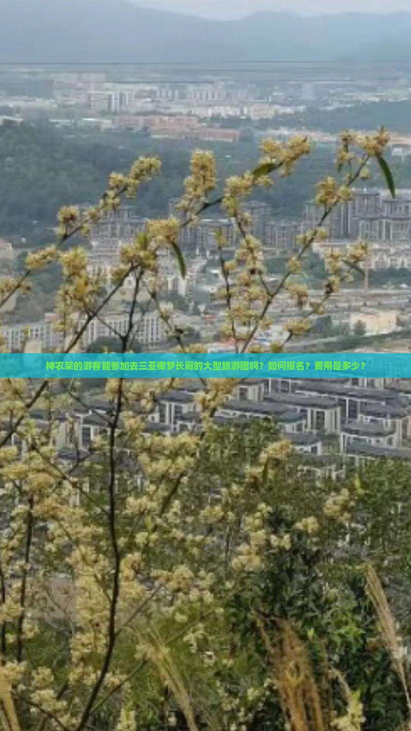 神农架前往三亚椰梦长廊大型旅游团