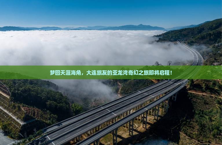 大连去三亚亚龙湾大型旅游团