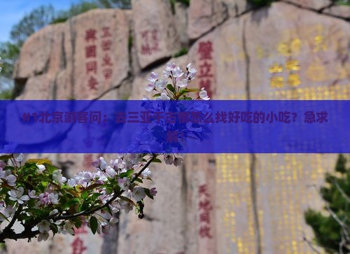 北京前往三亚千古情旅游小吃
