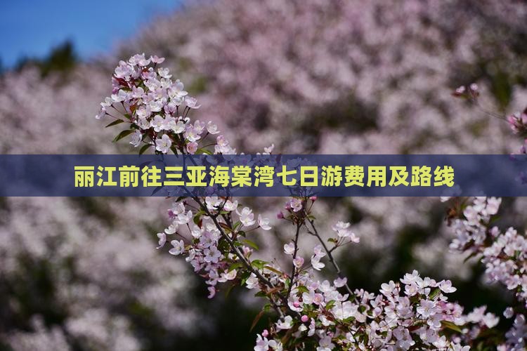 丽江前往三亚海棠湾七日游