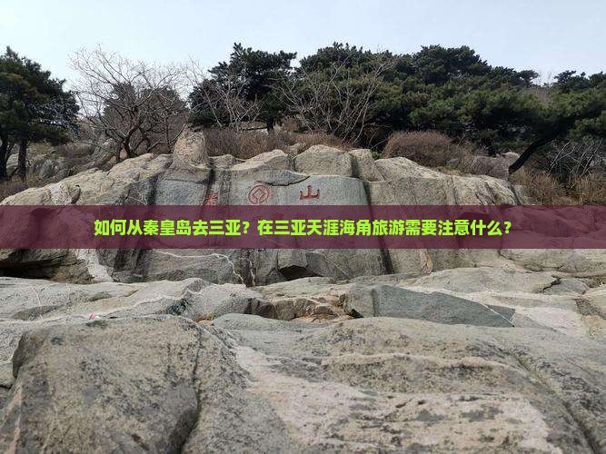 秦皇岛去三亚天涯海角旅游