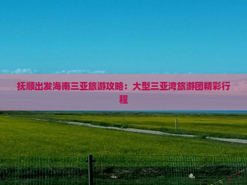 抚顺去三亚三亚湾大型旅游团