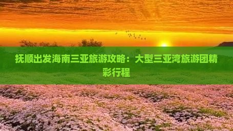 抚顺去三亚三亚湾大型旅游团