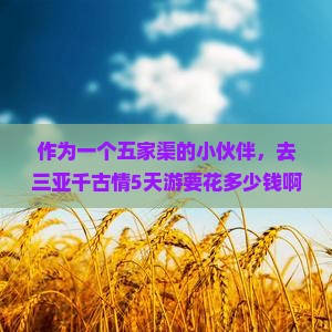 五家渠去三亚千古情五日游