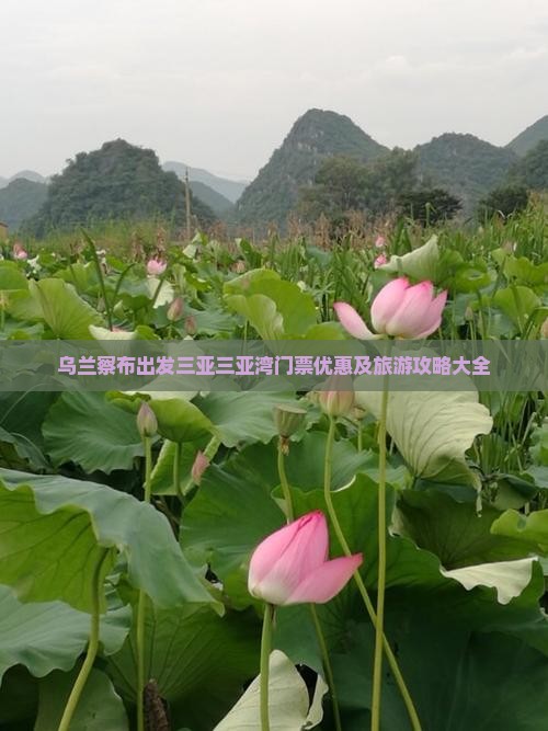 乌兰察布出发三亚三亚湾门票