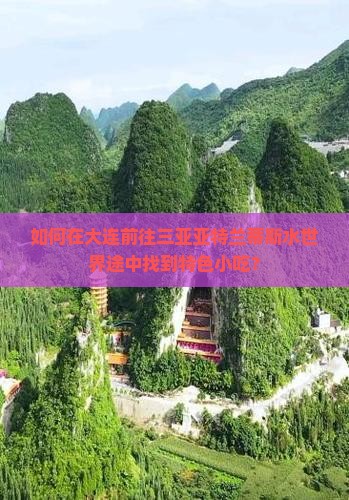 大连前往三亚亚特兰蒂斯水世界旅游小吃