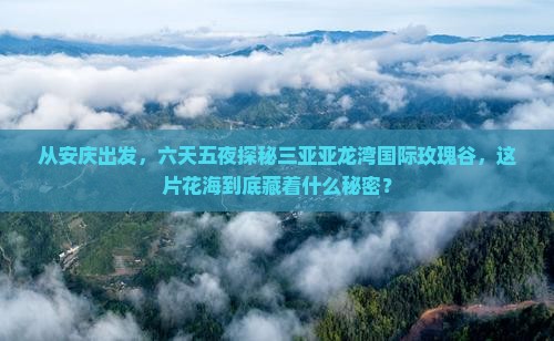 安庆去三亚亚龙湾国际玫瑰谷六日游