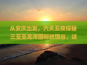 安庆去三亚亚龙湾国际玫瑰谷六日游