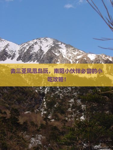 南阳去三亚凤凰岛旅游小吃