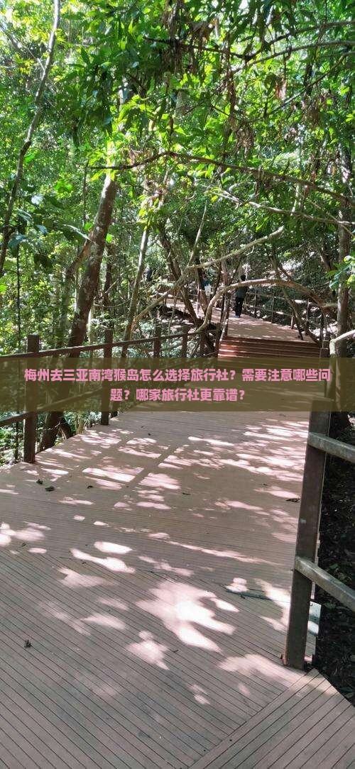 梅州去三亚南湾猴岛旅行社
