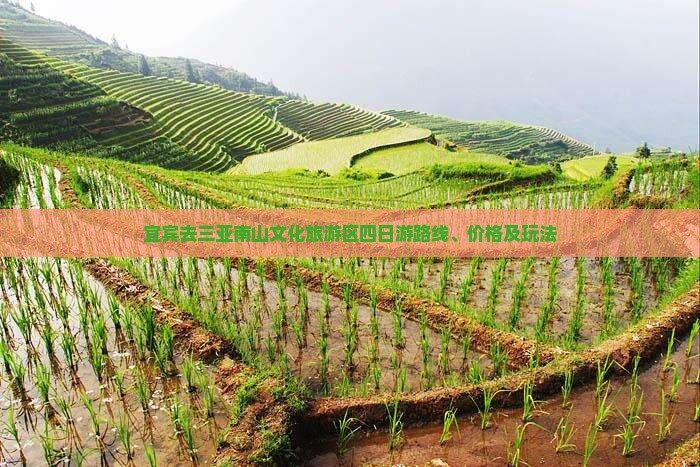 宜宾去三亚南山文化旅游区四日游