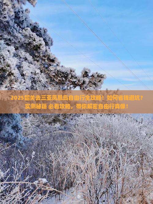 韶关去三亚凤凰岛自由行