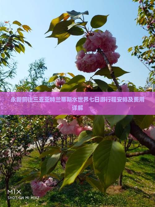 永新前往三亚亚特兰蒂斯水世界七日游