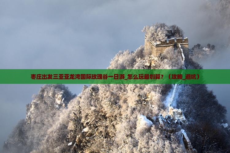 枣庄出发三亚亚龙湾国际玫瑰谷一日游