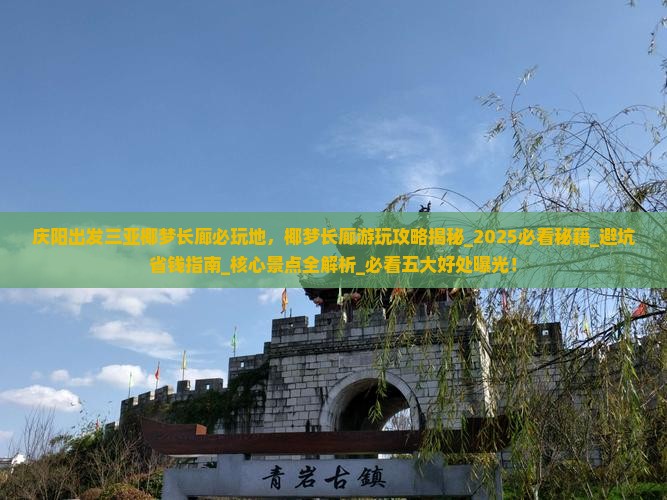 庆阳出发三亚椰梦长廊必玩地
