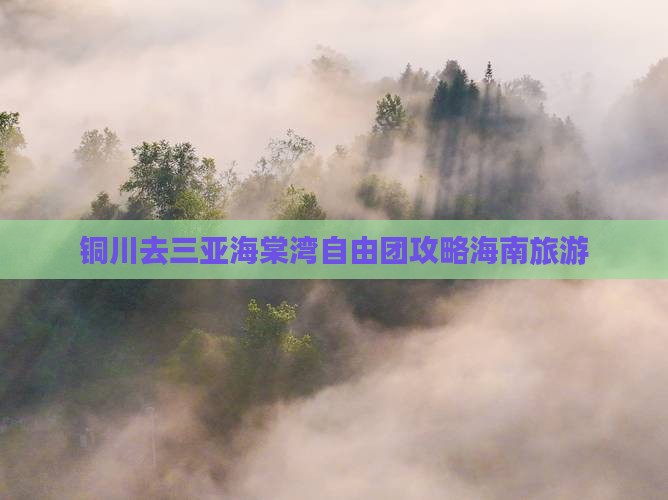 铜川去三亚海棠湾自由团