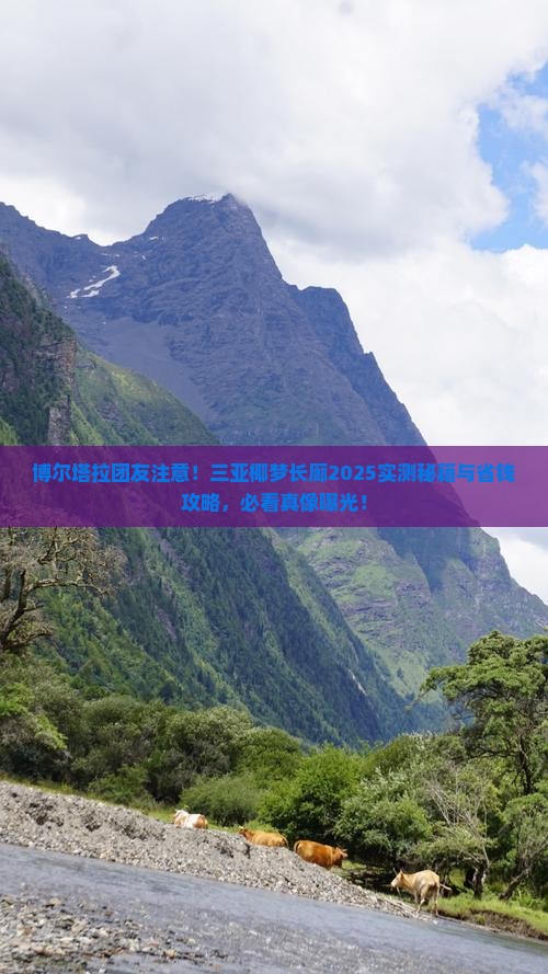 博尔塔拉去三亚椰梦长廊团体旅游 博尔塔拉去三亚椰梦长廊团体旅游