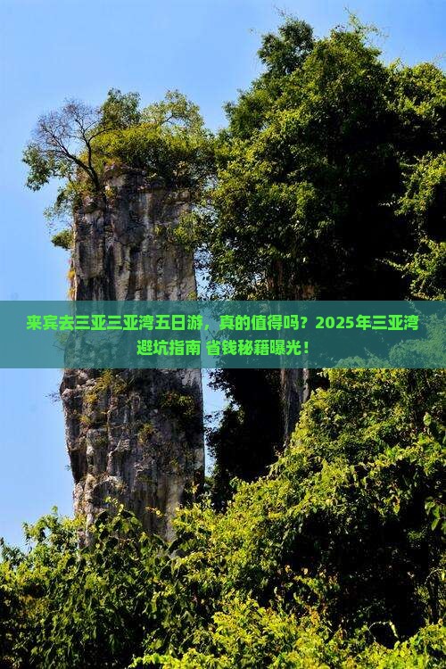 来宾去三亚三亚湾五日游