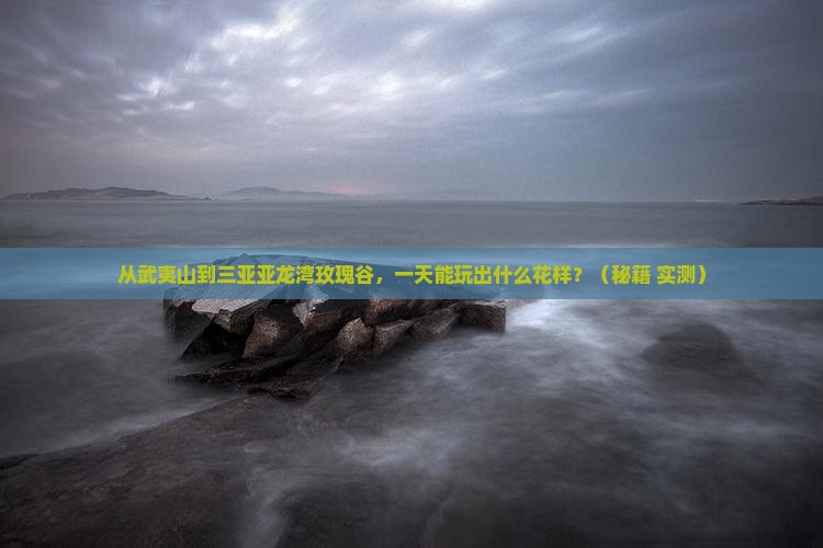 武夷山前往三亚亚龙湾国际玫瑰谷一日游
