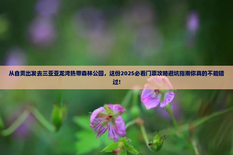 自贡出发三亚亚龙湾热带森林公园门票