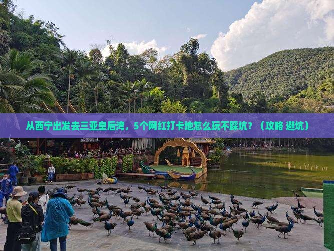 西宁出发三亚皇后湾旅游网红地点