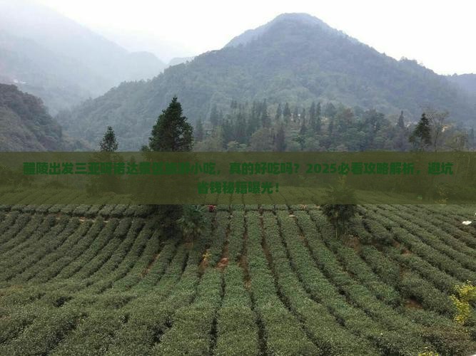 醴陵出发三亚呀诺达景区旅游小吃