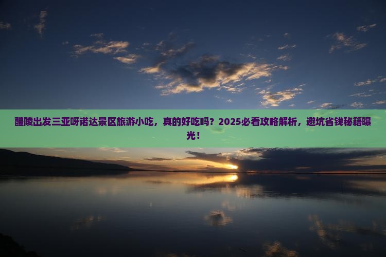 醴陵出发三亚呀诺达景区旅游小吃