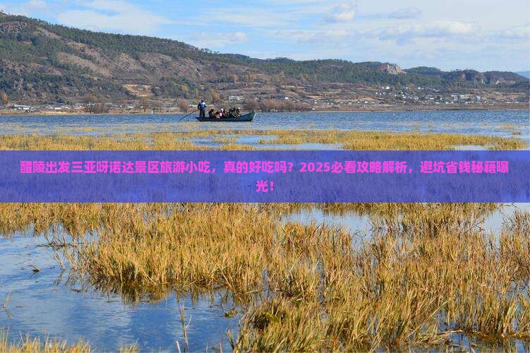 醴陵出发三亚呀诺达景区旅游小吃