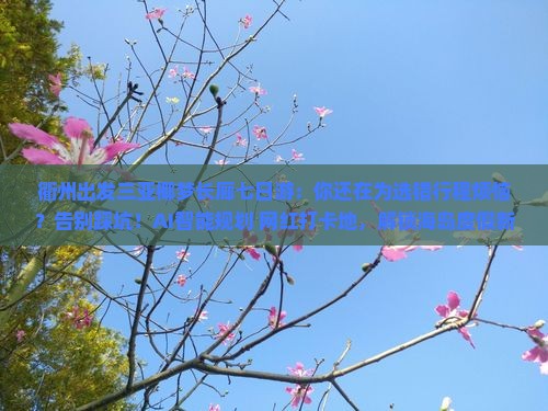 衢州出发三亚椰梦长廊七日游
