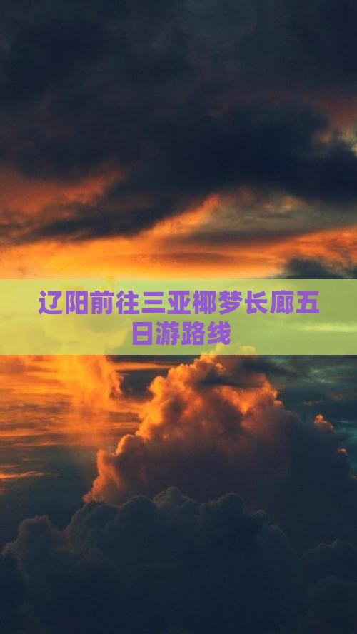 辽阳前往三亚椰梦长廊五日游
