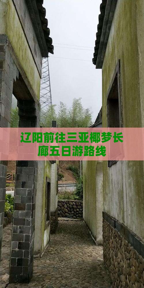 辽阳前往三亚椰梦长廊五日游