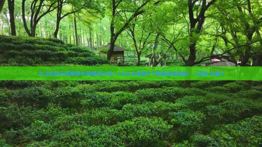 九江出发三亚椰梦长廊旅游小吃