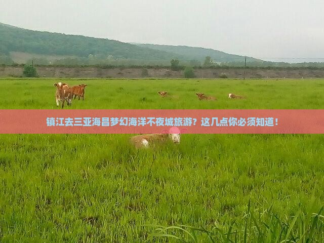 镇江前往三亚海昌梦幻海洋不夜城旅游