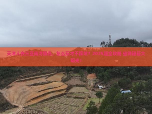 天津去三亚南湾猴岛团体旅游