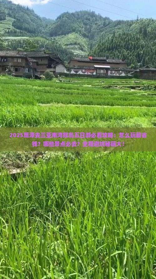 鹰潭去三亚南湾猴岛五日游