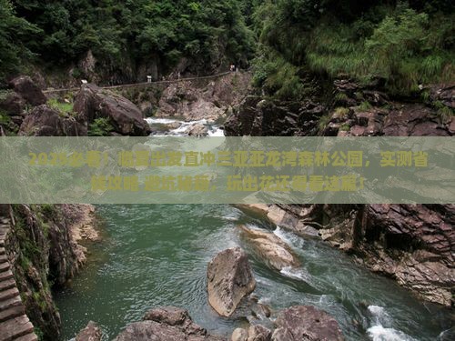临夏前往三亚亚龙湾热带森林公园个人游