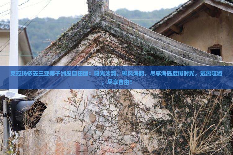 克拉玛依去三亚椰子洲岛自由团