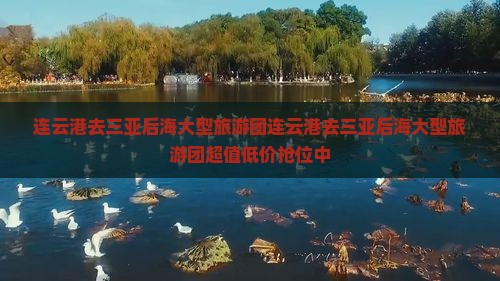 连云港去三亚后海大型旅游团