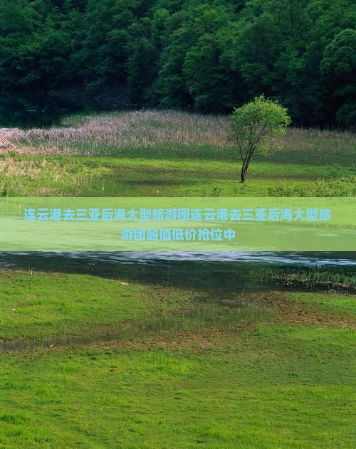 连云港去三亚后海大型旅游团