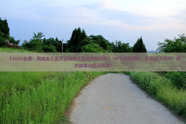 桐城去三亚天涯海角大型旅游团
