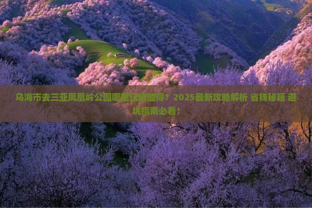 乌海市去三亚凤凰岭公园哪里玩